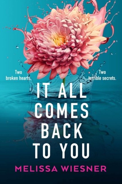 It All Comes Back to You by Melissa Wiesner (Paperback Book)