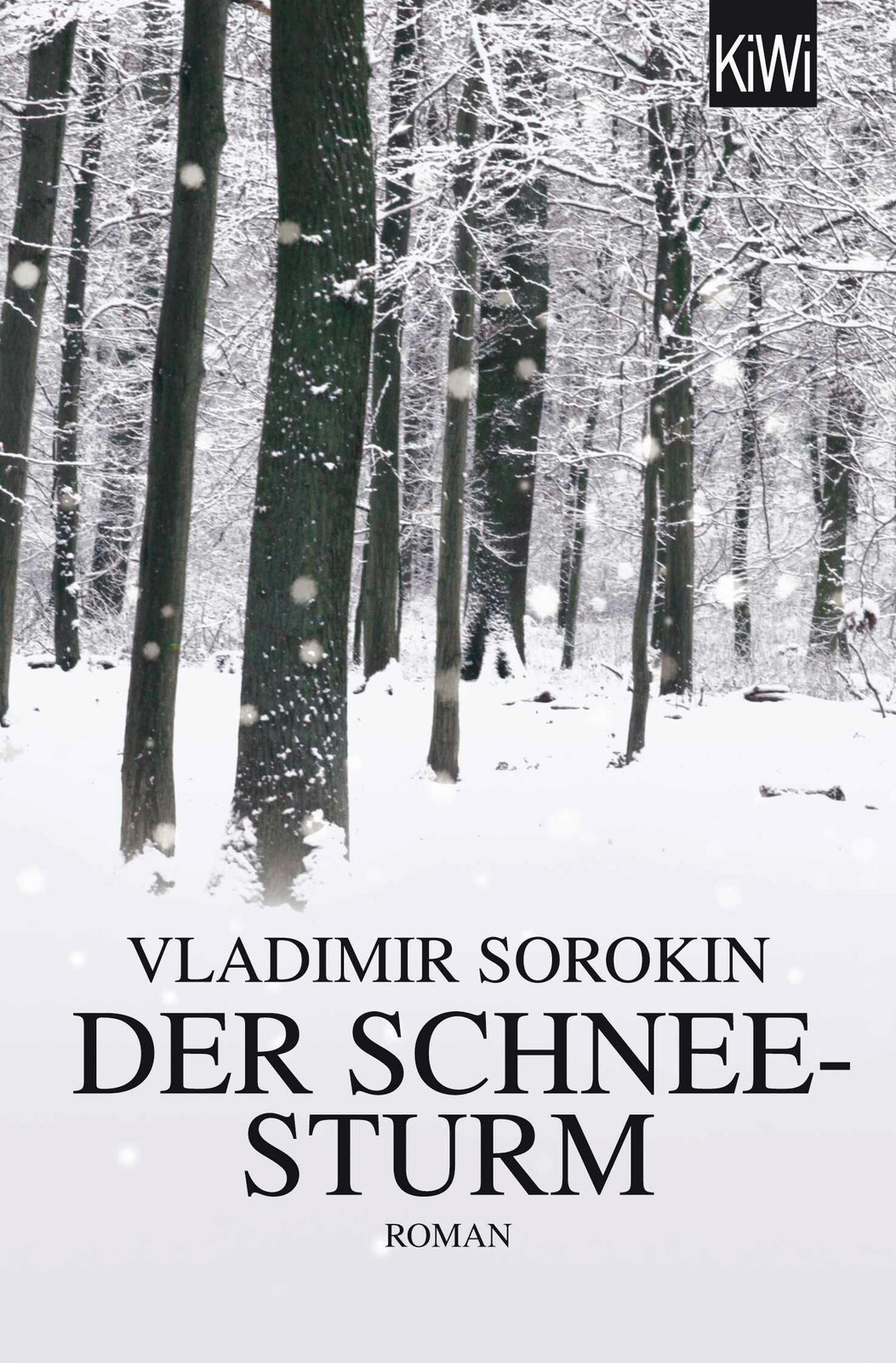 Der Schneesturm Vladimir Sorokin