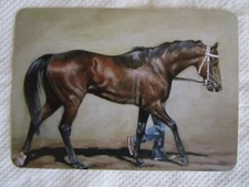 RACEHORSE SWAP CARD~MODERN NEW~THOROUGHBRED RACEHORSE COOLING DOWN AFTER RACE#77