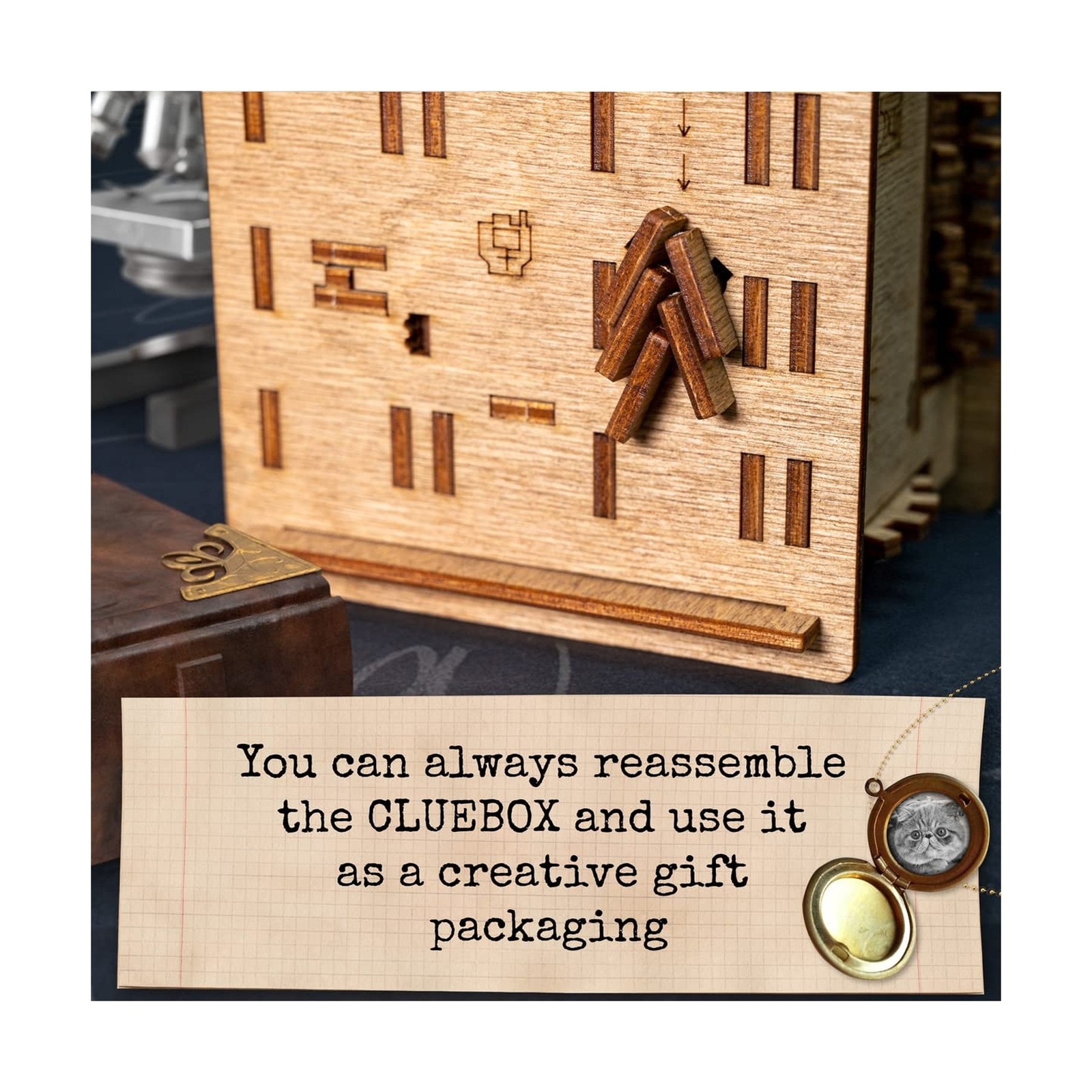 iDventure Cluebox Schroedingers Cat Escape Room Game Puzzle Box