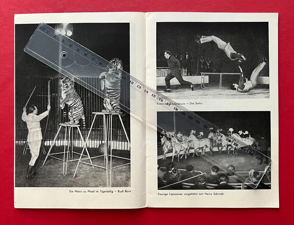 DDR Broschüre ZIRKUS OLYMPIA Saison 1964   ( F228356 - Bild 4 von 4