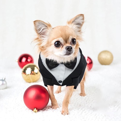 Dog/Cat Tuxedo Pet Outfit for Birthday/Weddings/Celebration Bow Tie Black/Grey - Picture 13 of 17