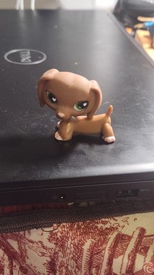 LPS #556 LITTLEST PETSHOP ORIGINAL AUTHENTIQUE CHIEN TECKEL DOG TECKEL HASBRO