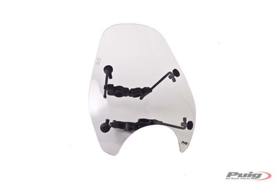 18397-compatible con DAELIM VT 125 EVOLUTION 2000-2003 Cupula parabrisas paraman