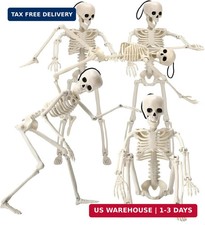 16" Halloween Skeleton Decorations with Posable Joints, 5Pcs Halloween Mini Sk
