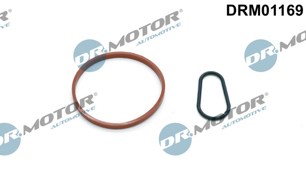 Dr.Motor Automotive DRM01169 Dichtungssatz, Unterdruckpumpe For CitroËN DS Ford-image