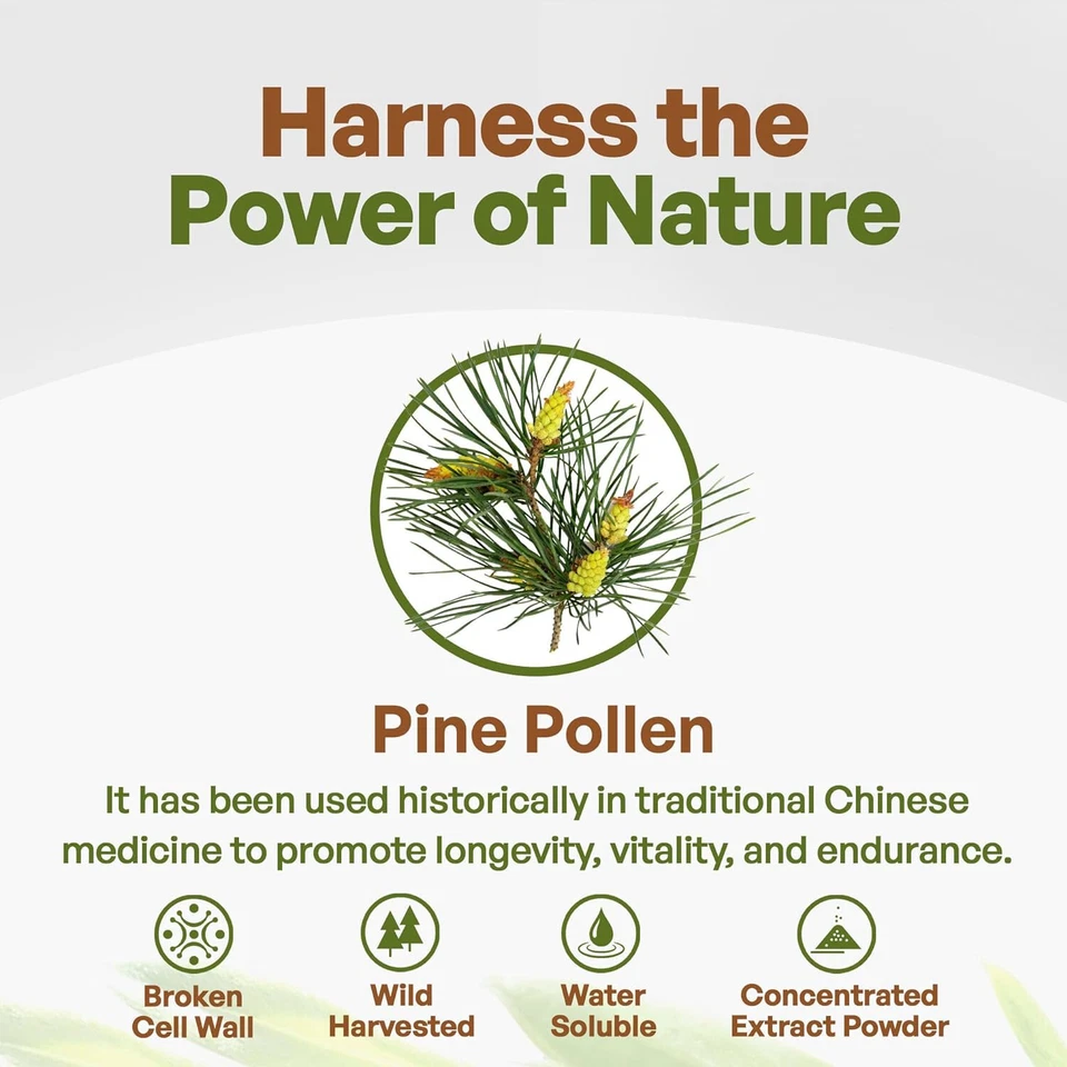Polen de pino en polvo 1 lb. Extracto de polen de pino puro 10:1 fuerza célula agrietada Foto 3 de 4