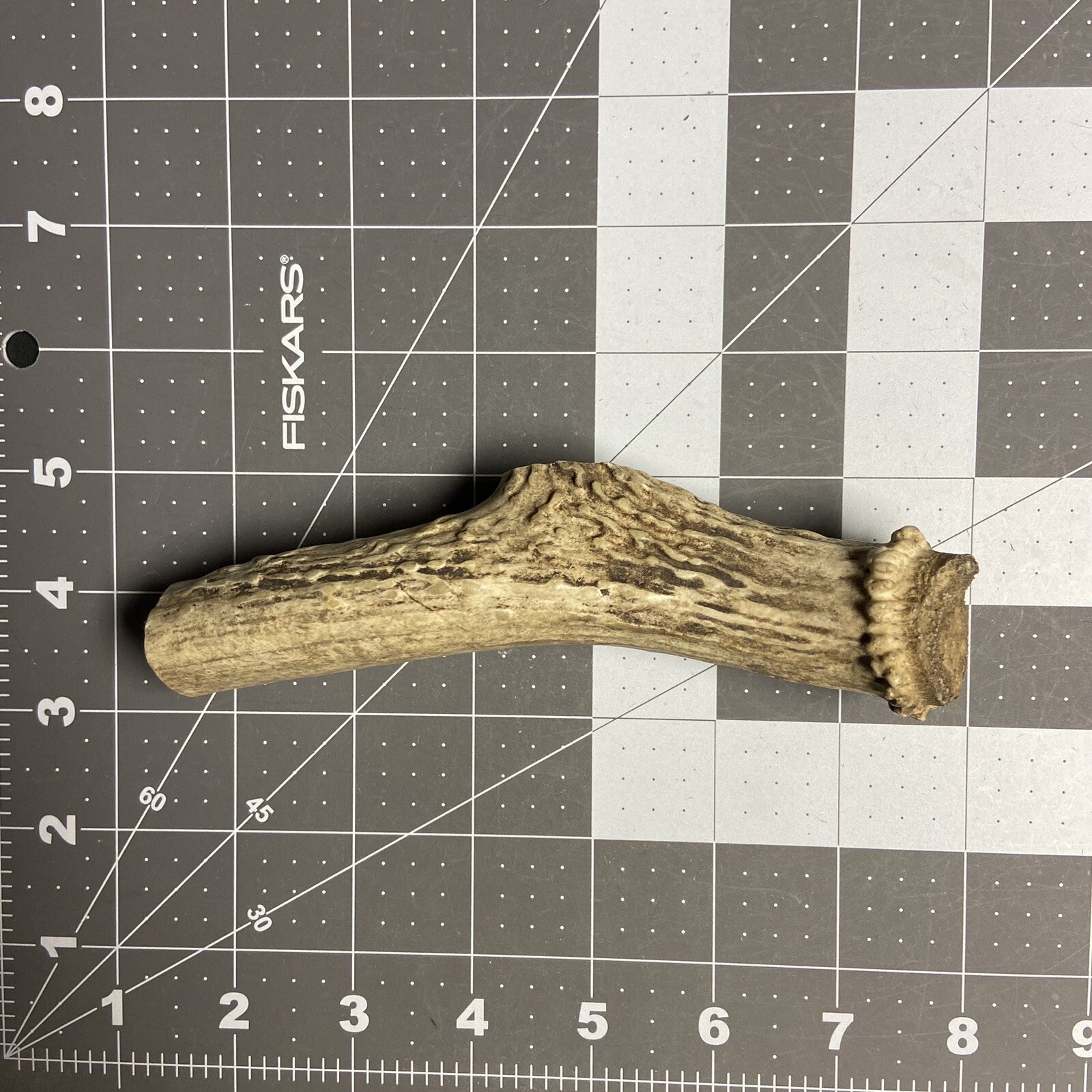 Whitetail Deer Antler Base knife handle Blanks / sheds antlers