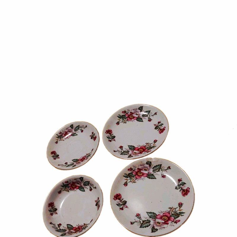 Set of 4 Porcelain Floral Rose Plates White Pink Green Round Glossy
