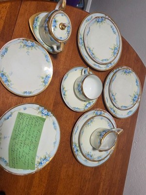 Hand-painted J C Bavaria ''Forget-Me-Not'' Tea Set: Plates, Cup, Sugar & Milk