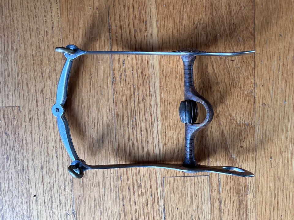 ARGENT in a Thriller! - Proven Thoroughbreds