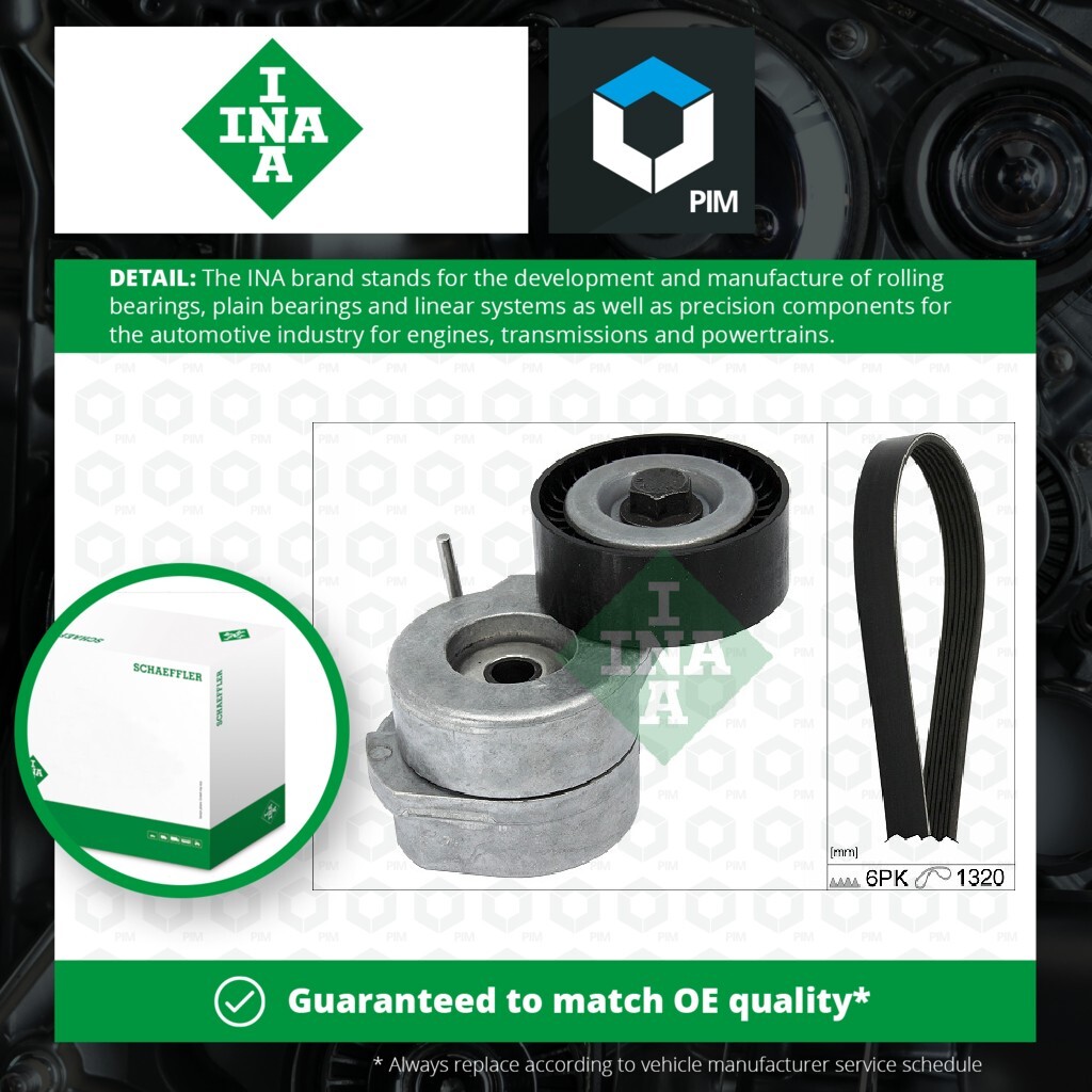 Drive Belt Kit fits OPEL Set INA 1340024 4708770 55185074 55185078 55562245 New