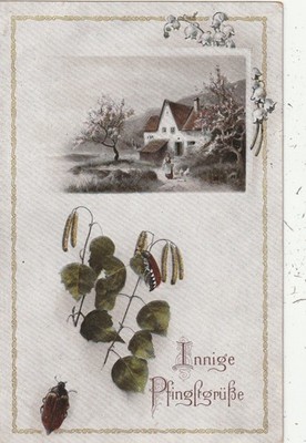 Postcard May Beetle in the Leaf Branch in the Background a House (35) -1917- Publisher: L&P