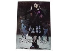 Evanescence Amy Photo Sticker, 5x3.5", C&D, 2004, Gothic Rock, Amy Lee