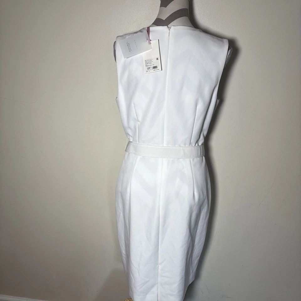 Alex Marie 女式无袖连衣裙 10 码 — 第 4/4 张图片