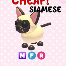 CHEAPEST MFR SIAMESE CAT SAME DAY SHIPPING MEGA FLY RIDE