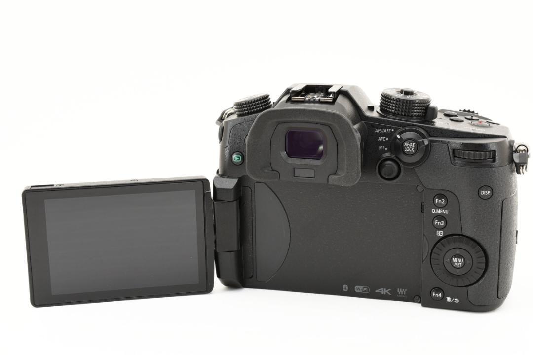 LUMIX Panasonic GH5 RD-SPM049