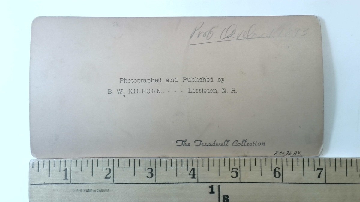 Presidential Speech Washington D.C. Stereoview Antique c1893