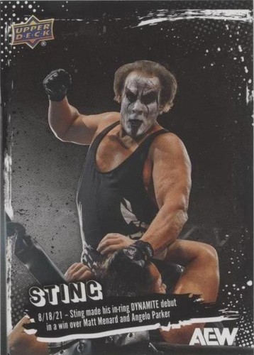 STING、HHH autograph WWE TRIPLE HHH & ICON STING DUAL SIGNED AUTOGRAPHED 8X10 PHOTOFILE