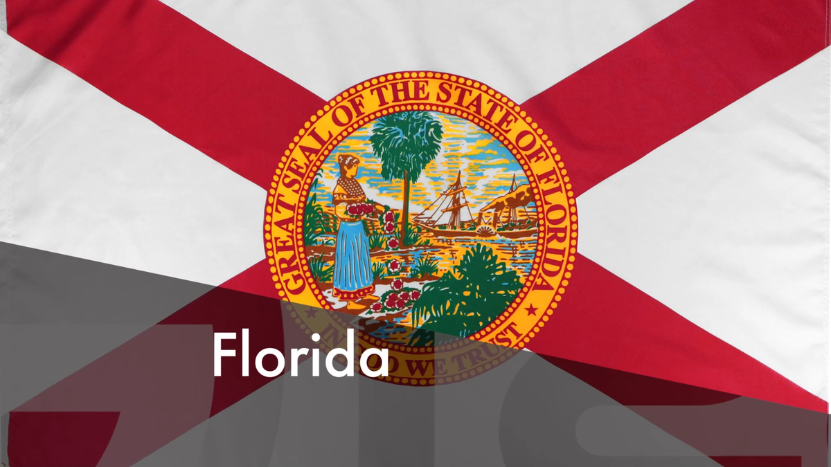 THREE PACK of 3X5 FLORIDA STATE FLAG FL FLAGS US STATES | eBay