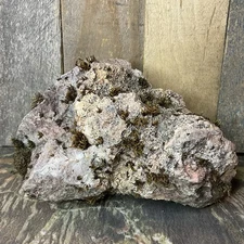 Missouri  Natural  Fossilized Coral with Druzy Quartz Crystals Display