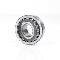 5Er Pack(Stk) Fag 21309 E1TVPB Pendelrollenlager Innen-Ø 45 Mm AußEn-Ø 100 Mm Br