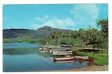 Wailua River Excursion Boats Kauia Hawaii Postcard HI