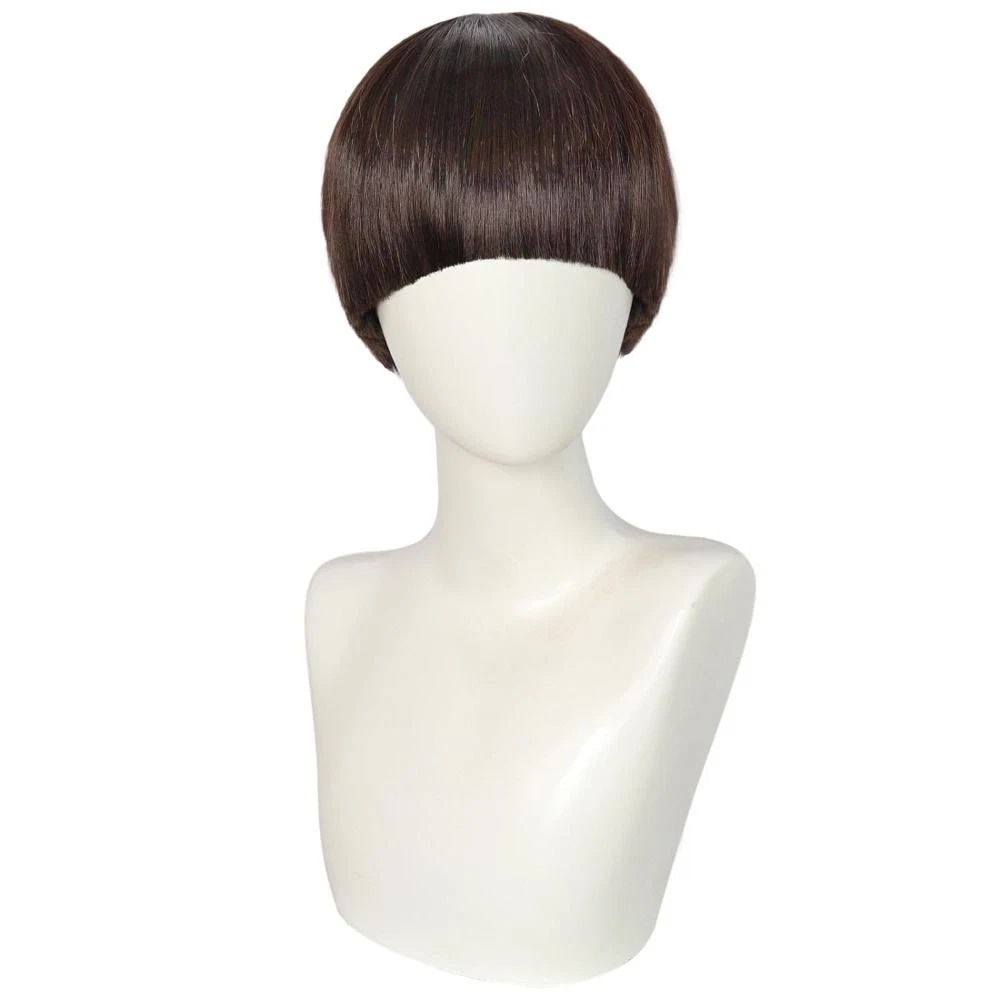 Buy 2025 joke wigs
