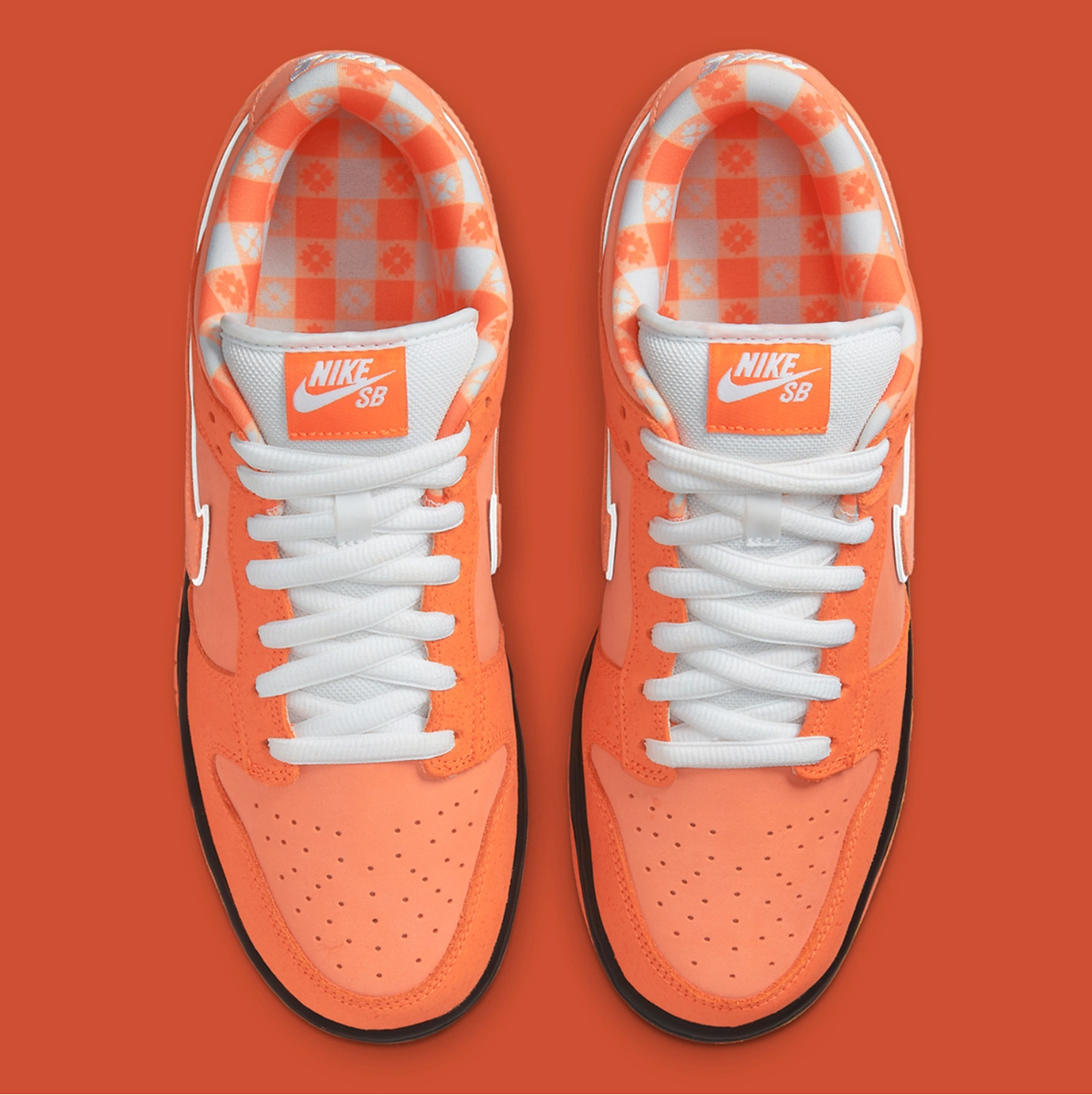 SPECIAL BOX Concepts Nike SB Dunk Low Orange Lobster 9.5 SPECIAL BOX Concepts Nike SB Dunk Low Orange Lobster 9.5