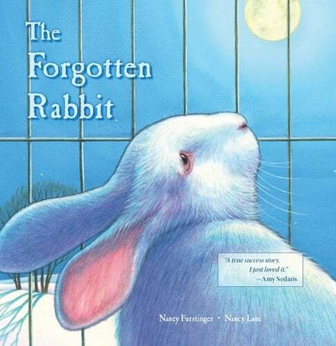 The Forgotten Rabbit by Nancy Furstinger: New
