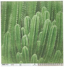 Paper House Productions P-2109E Cactus Paper Craft Product 15 Pack Piece