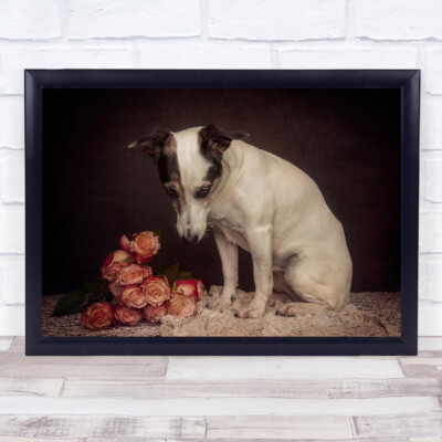 As Time Goes By Dogs Studiotiere Rose Rosen Tier Blume Wandbild Kunstdruck