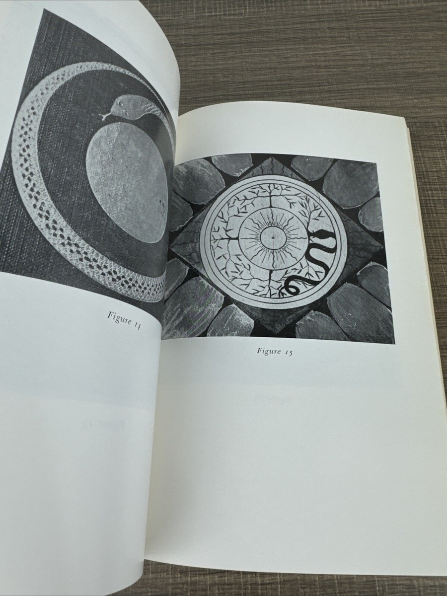 語学・辞書・学習参考書 Modern and Ancient Alluvial Fan Deposits Origins of Hieroglyphic Writing | Archaeological Research in