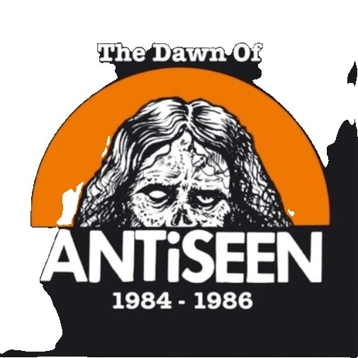 Discos de vinilo antiseen