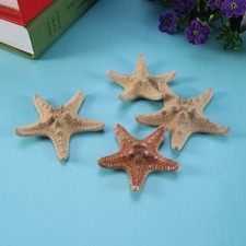 4 Pcs Coastal Home Decor Scene Accessories Beach House Themed Craft Supplies