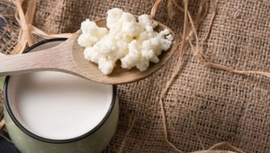 Kéfir de Leche - Búlgaros - Cultivo vivo - Nódulos de Kéfir - 5 gramos