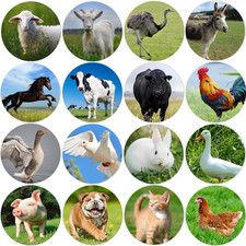 Farm Animal Stickers Roll 1.5 Inch 600 Pcs round Labels for Kids Classroom Rewar