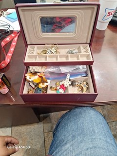 Mixed Lot Pins Brooches Necklace Brace…