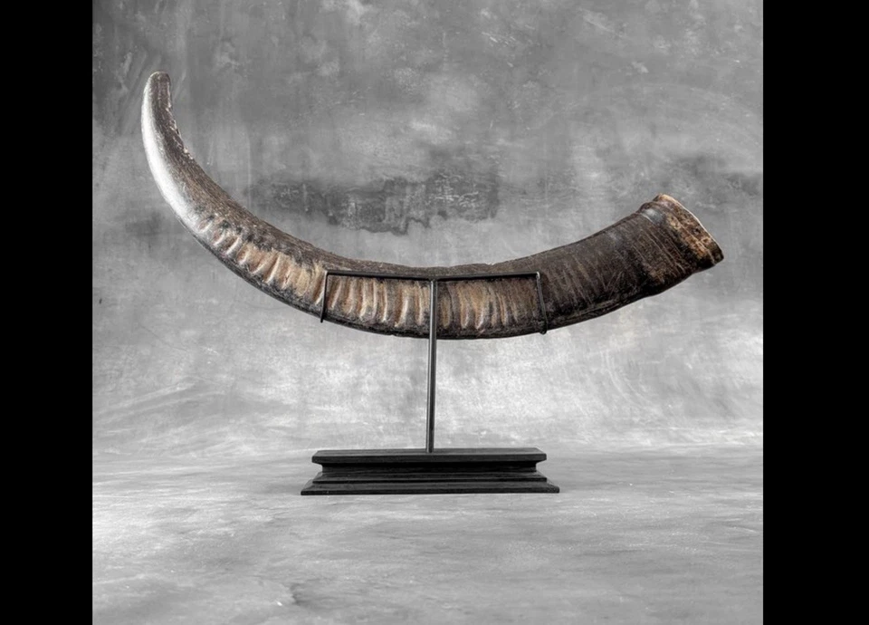 Soporte de mano tallado Fénix y Dragón Ying y Yang tallado, Foto 2 de 4