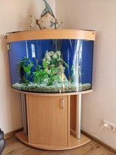 aquarium mit unterschrank ,Fische,Pflanzen wie auch Deko
