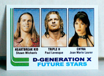 D-Generation X Future Stars: Custom-Designed Art Card HBK Triple H Chyna