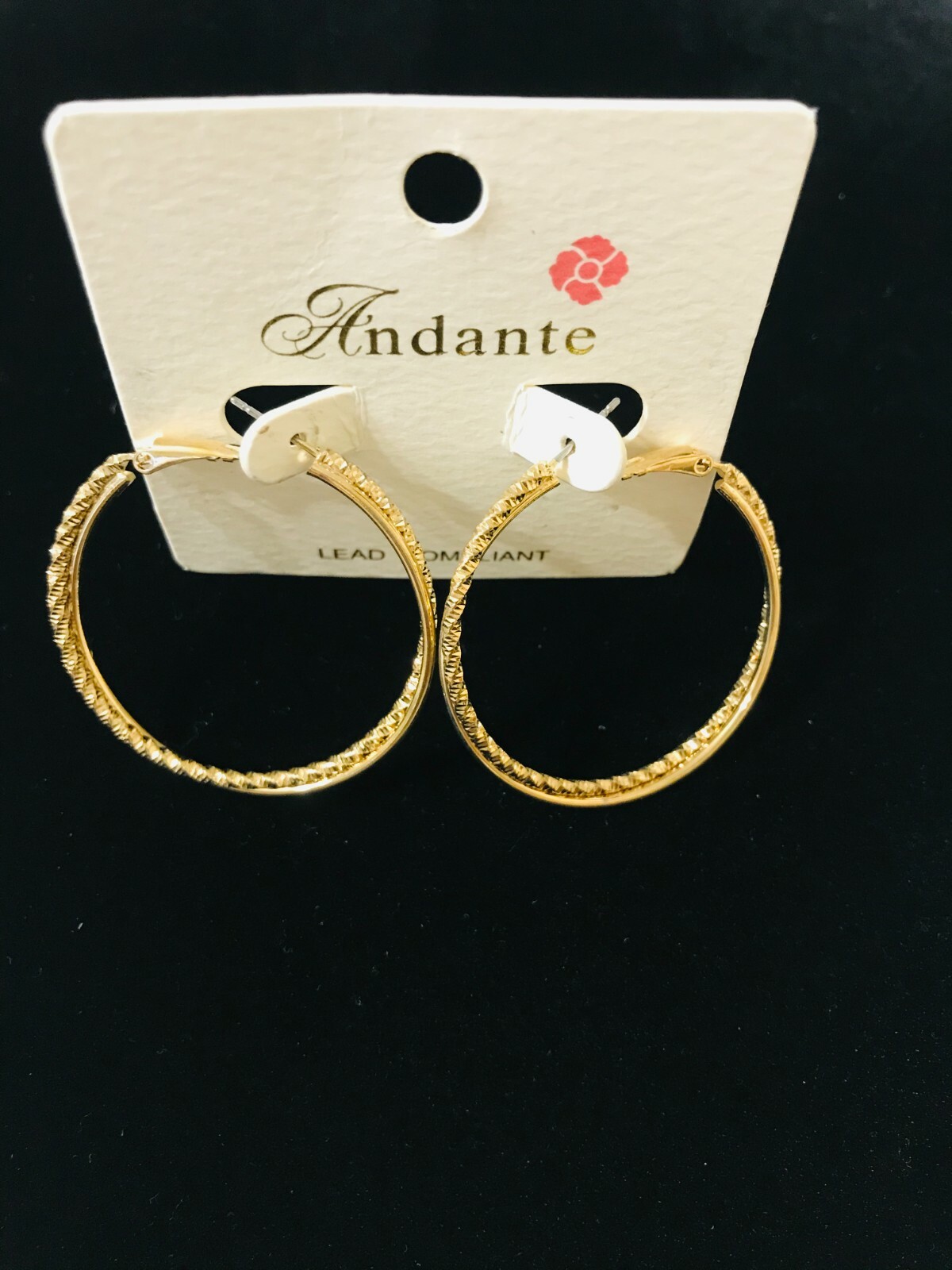 HOOP EARRINGS TWISTED ROPE EDGE GOLD TONE BY ANDANTE FOR PIERCED EARS-image