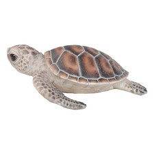 Small Sea Turtle