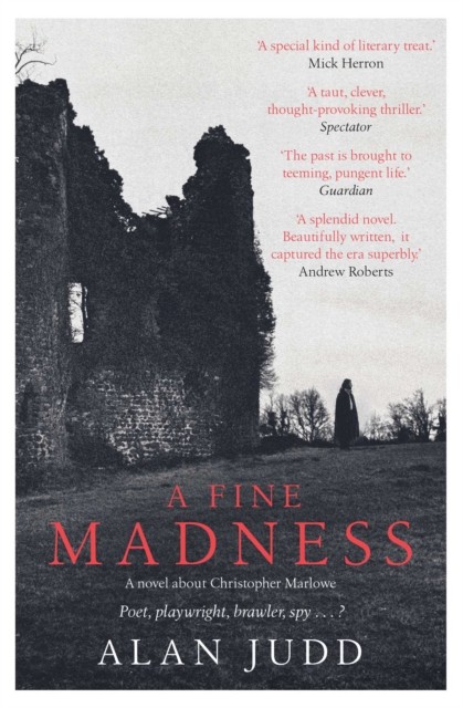 A Fine Madness by Alan Judd (Paperback Book)