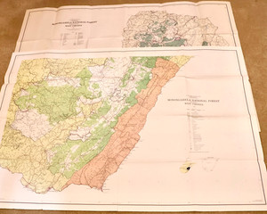 West Virginia Monongahela National Forest Topographical Map 1980s Lot of 2