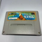 Araiguma Rascal Raccoon Super Famicom Cartridge Only JP Used Tested Nintendo SFC