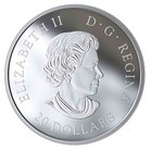 2019 Canada S$20 Billy Bishop Colorized NGC PF70 Ultra Cameo — photo 4