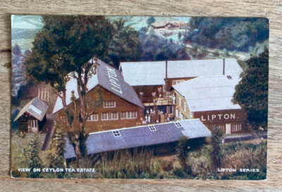 Pooprassie Tee Fabrik Nachlass Ceylon Lipton Serie Postkarte um 1910 Sri Lanka
