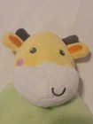 Foto 9 di 10