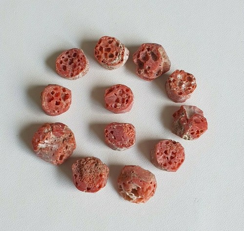 100% Natural Sea Italian 'Red' Coral Rough Round Shape AA+Quality Gemstone. Q-63